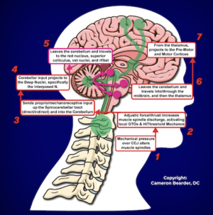 Grand Rounds-Oculomotor Dysfunction and CNS Integration
